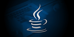 Java FSD